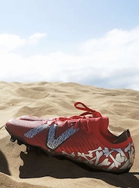 Pet-Celebrating Sporty Collaborations Image 3