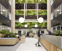 Nature-Connecting Office Spaces Image 2