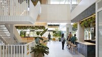 Nature-Connecting Office Spaces Image 3