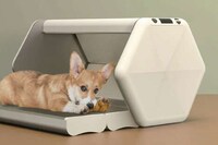 Conceptual Temperature-Control Dog Beds Image 2