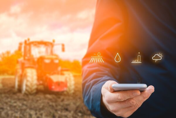 AI Weather Forecasting Tools