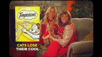 70s-Style Cat Snack Ads Image 2