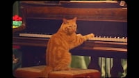70s-Style Cat Snack Ads Image 3
