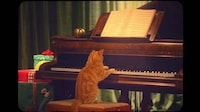 70s-Style Cat Snack Ads Image 5