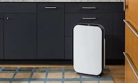 Customizable Finish Air Purifiers