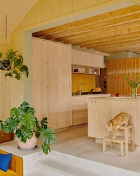 Vibrantly Colored Retro Houses