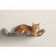 35 Gifts for Cat Lovers Image 1