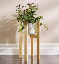 DIY Plant Decor Kits Image 4