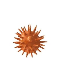 Adorable Ceramic Homeware Image 2