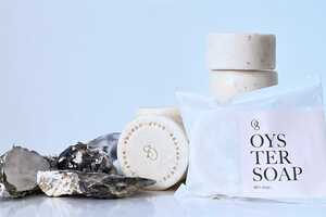 Oyster Shell Dish Soaps Article Thubnail