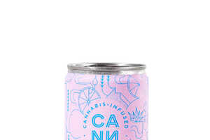 Revolutionary THC Beverages : Cann Social Tonic 1