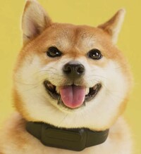 AI-Powered Bark Collars Image 3