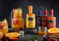 Comprehensive Holiday Gift Guides Image 3