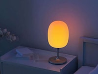 Biology-First Lighting Designs Image 1