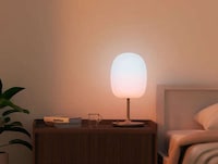 Biology-First Lighting Designs Image 2