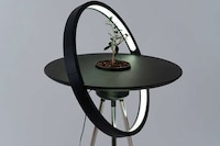 Sunlight-Evoking Plant Systems