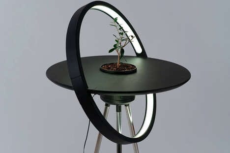 Sunlight-Evoking Plant Systems