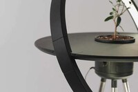 Sunlight-Evoking Plant Systems Image 3