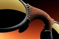 Leather-Detailed Luxe Eyewear Image 1