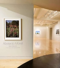 Painting-Immersive Photo Exhibits Image 2