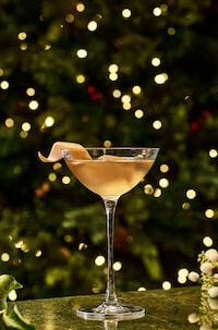 Artisanal Gin Cocktails