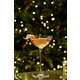 Artisanal Gin Cocktails Image 1