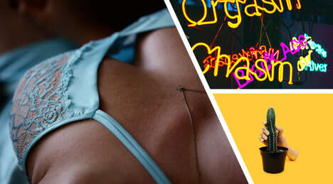 Sexual Liberation Programs