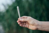 Revamped Cannabis Pre-Rolls Image 1