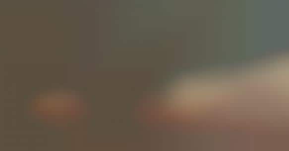 Time-Lapsed Wildfires