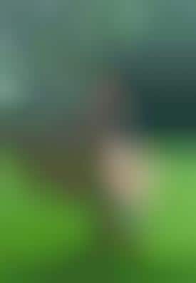 Wearable Cardboard Creatures