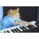Viral Boycats Image 3