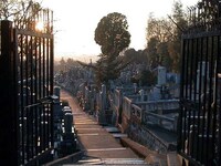 Selling Graves Image 3