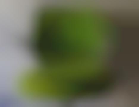 Customized Kermit Rockers