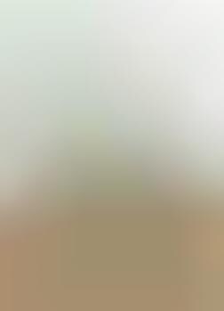 Carny Love Photography