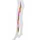 Rainbow Fringe Leggings Image 4