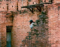 Humble Pictorials Image 2