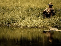 Humble Pictorials Image 7