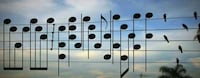 Nature-Inspired Songwriting Image 2