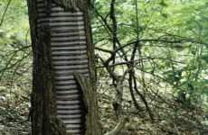 Reskinning Nature