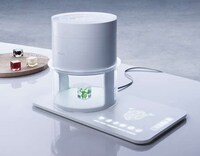 Futuristic Food Probes Image 4