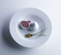 Futuristic Food Probes Image 7