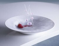 Futuristic Food Probes Image 8