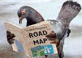Broadband-Racing Birds