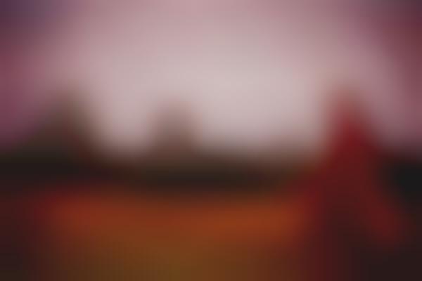 Fairytale Forestography