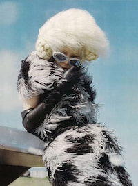 Haute Extraterrestorials Image 4