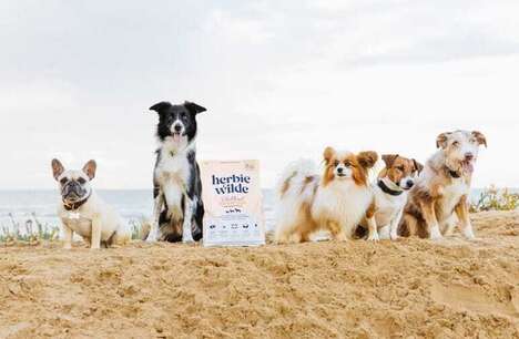 Functional Plant-Based Dog Foods
