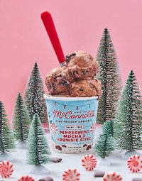 Artisanal Holiday Ice Creams Image 1