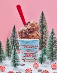 Artisanal Holiday Ice Creams