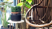 Naturalistic AI-Powered Air Purifiers