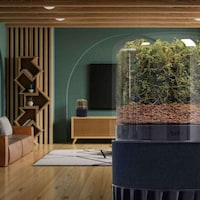 Naturalistic AI-Powered Air Purifiers Image 4